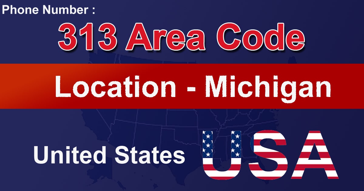 313 Area Code